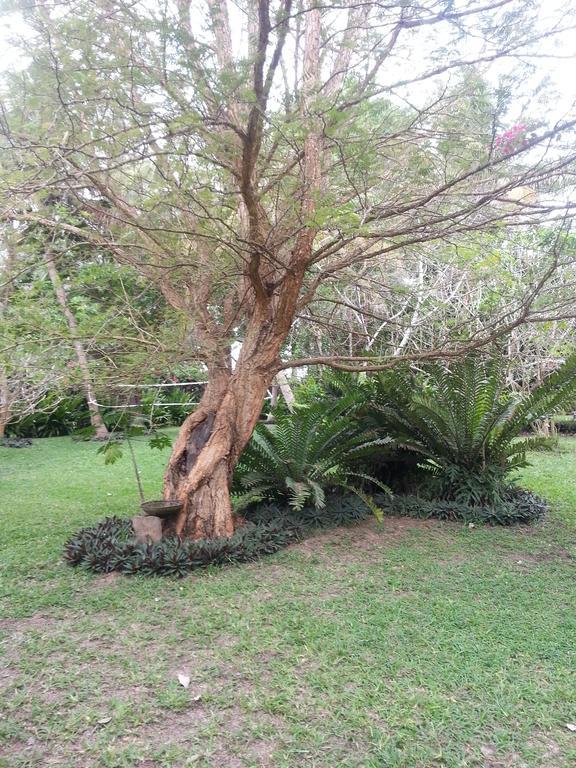 Palmeiras Lodge Vilanculos Dış mekan fotoğraf