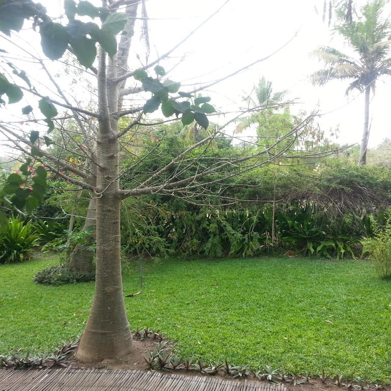 Palmeiras Lodge Vilanculos Dış mekan fotoğraf